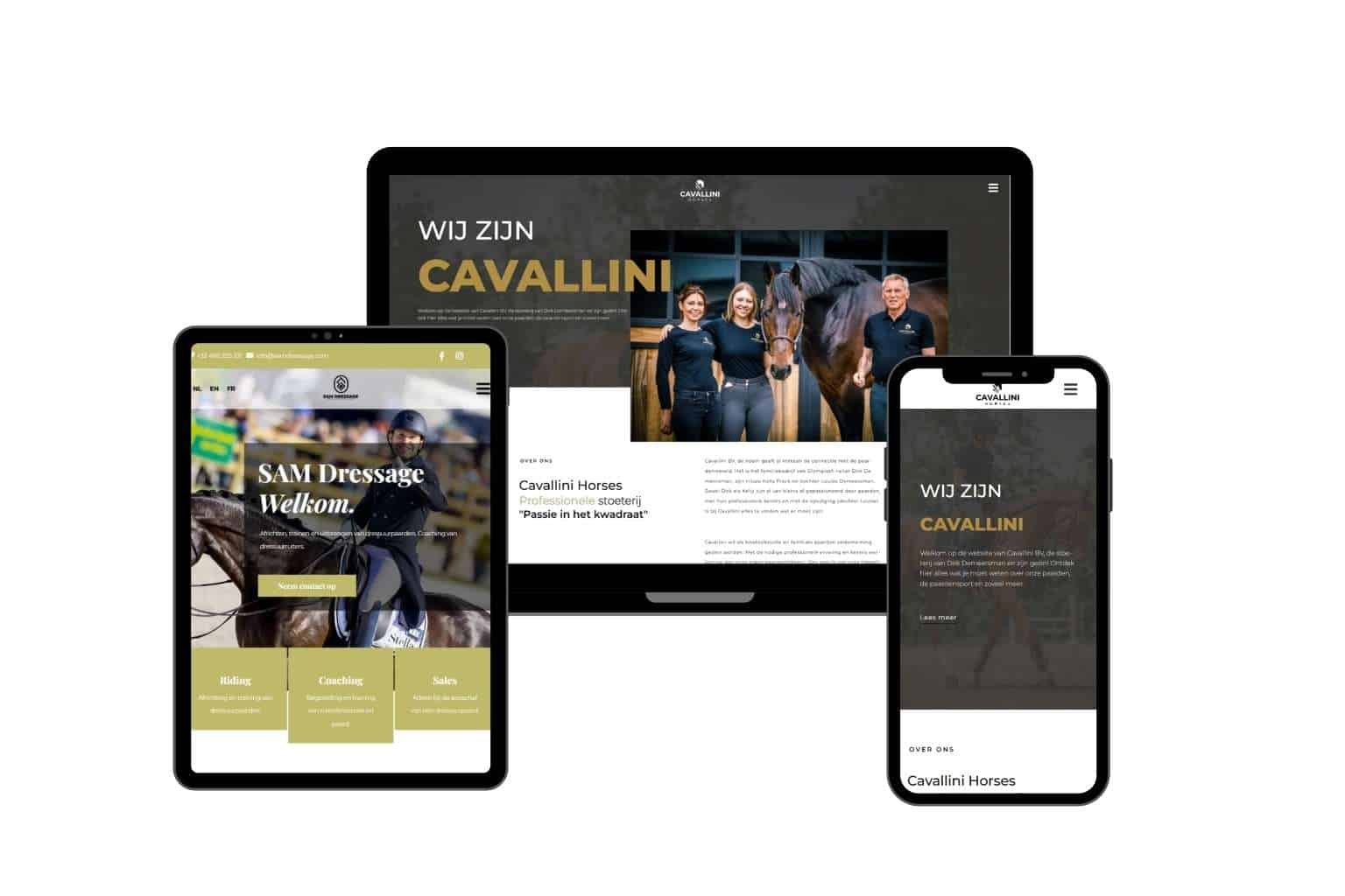 equi-elite-marketing-webdesigns-1